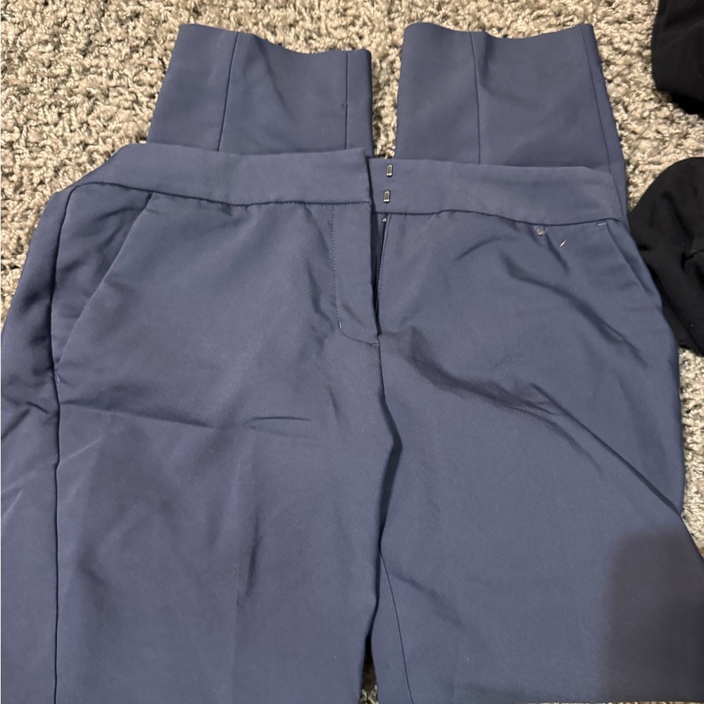 Express business casual pants